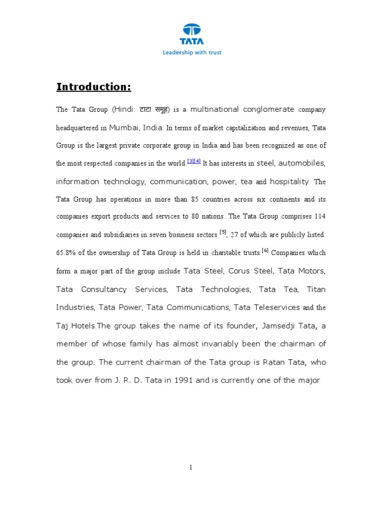 Tata Group Assignment | PDF | Marketing | Strategic Management