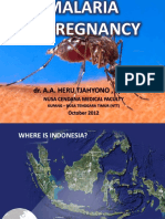 Malaria in Pregnancy (Oct Presentation)