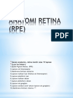 Anatomi Retina (Rpe)