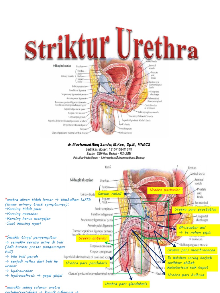 Videoda mini yubka kiygan qizlar jinsiy aloqa