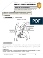 Cc. Aa. 1º- II,III, IV Bimestre