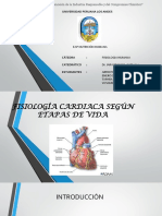 285208005-Fisiologia-Cardiaca-Segun-Etapas-de-Vida.pptx