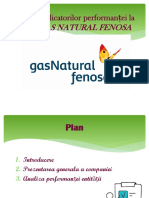 Analiza Indicatorilor Performan: I.C.S. Gas Natural Fenosa