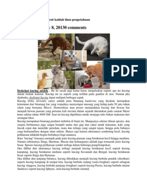 All About Cat Aulia PDF - kucing hilang forum cari
