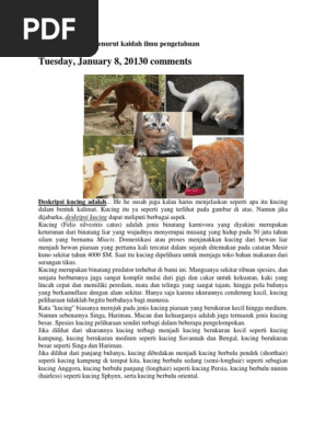 All About Cat Aulia PDF - kucing hilang forum cari