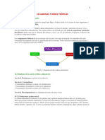 Cadenas y Redes Troficas PDF