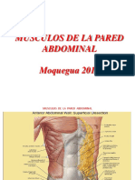 Musculos de La Pared Abdominal 2018