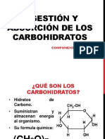 Digestión y absorción carbohidratos