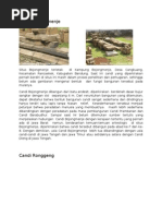 Download candi by Chita   SN37601752 doc pdf