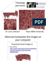 Medical School Histology: Images of Compact Bone: Dr. Larry Johnson Texas A&M University