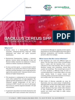 Bacillus Cereus SPP ISO 7932