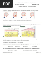 Ficha de Trabalho 2 Sistema Imunitario (1)