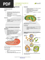 Visão Geral Fermentação e Respiração Celular - Resumo