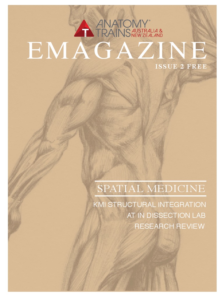 Anatomy Trains Australia EMAGAZINE Issue 2 | PDF | Psychotherapy ...