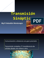 Clase 3 Sinapsis