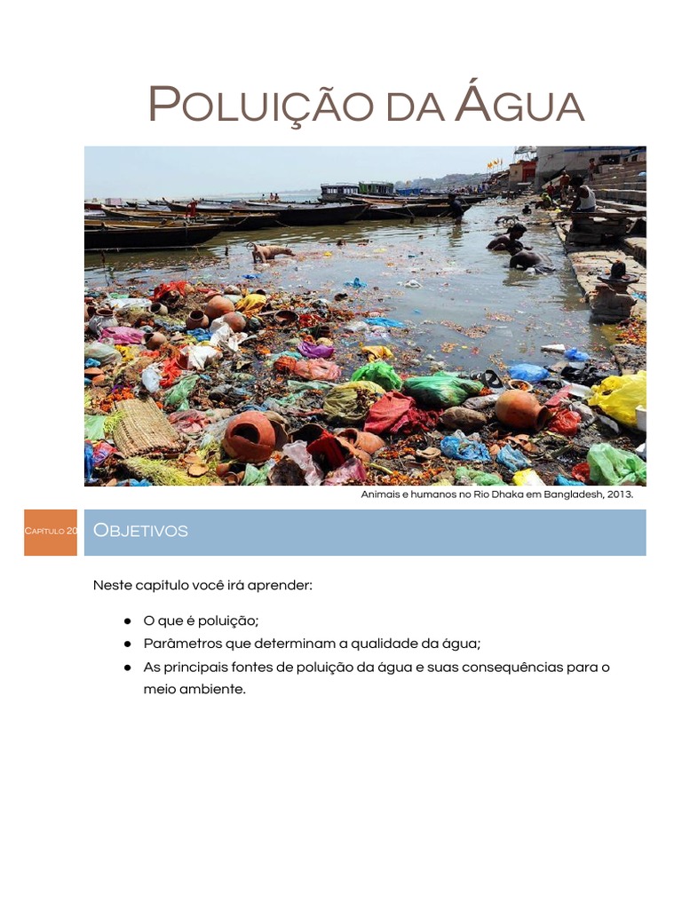 Poluição da água: causas e consequências | PDF | Eutrofização ...