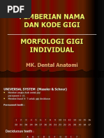 Download Anatomi Gigi part 2 by Hendry C R Ulaen SN37604786 doc pdf