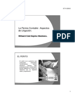 pericia_contable.pdf
