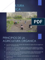 Agricultura Organica 1.ppt