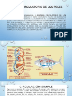 Sistema Circulatorio de Los Peces - PPTX 2017