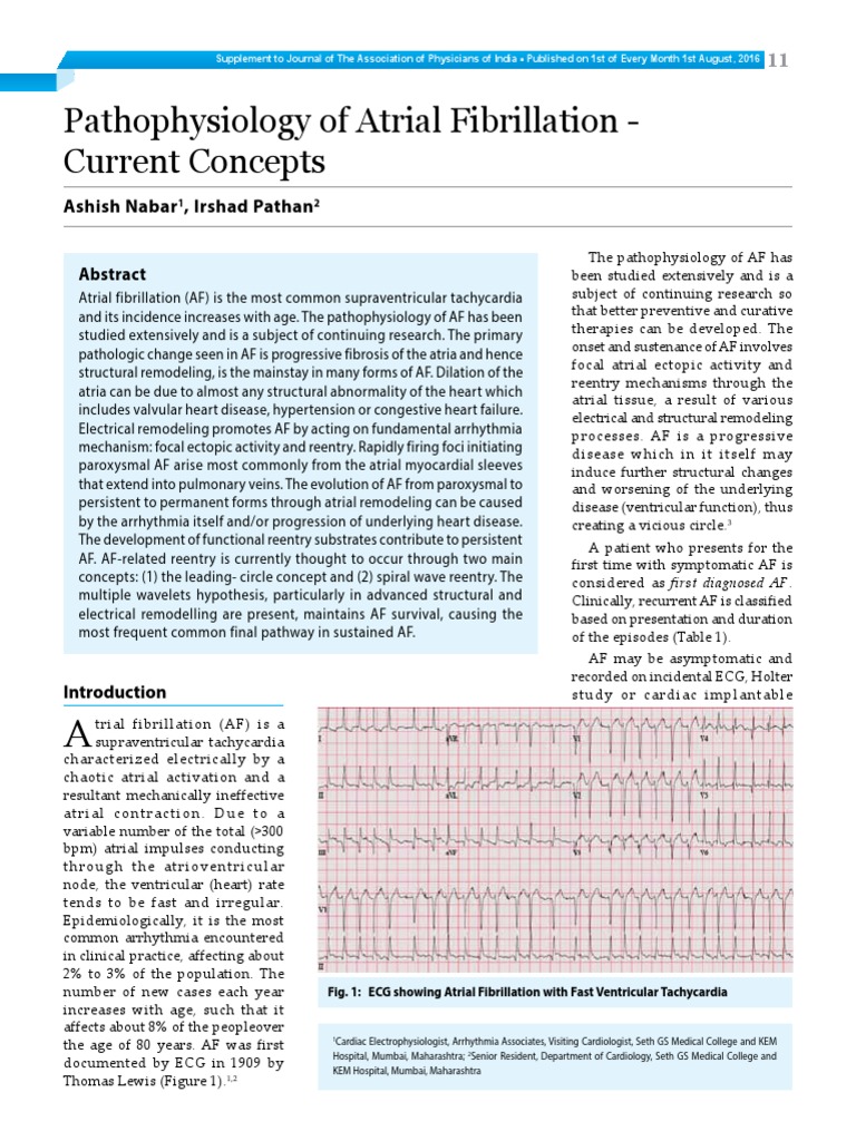 03 Pathophysiology of Atrial | PDF | Internal Medicine | Heart