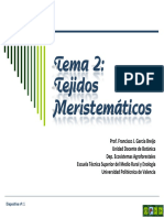 Tema 2 Meristemas