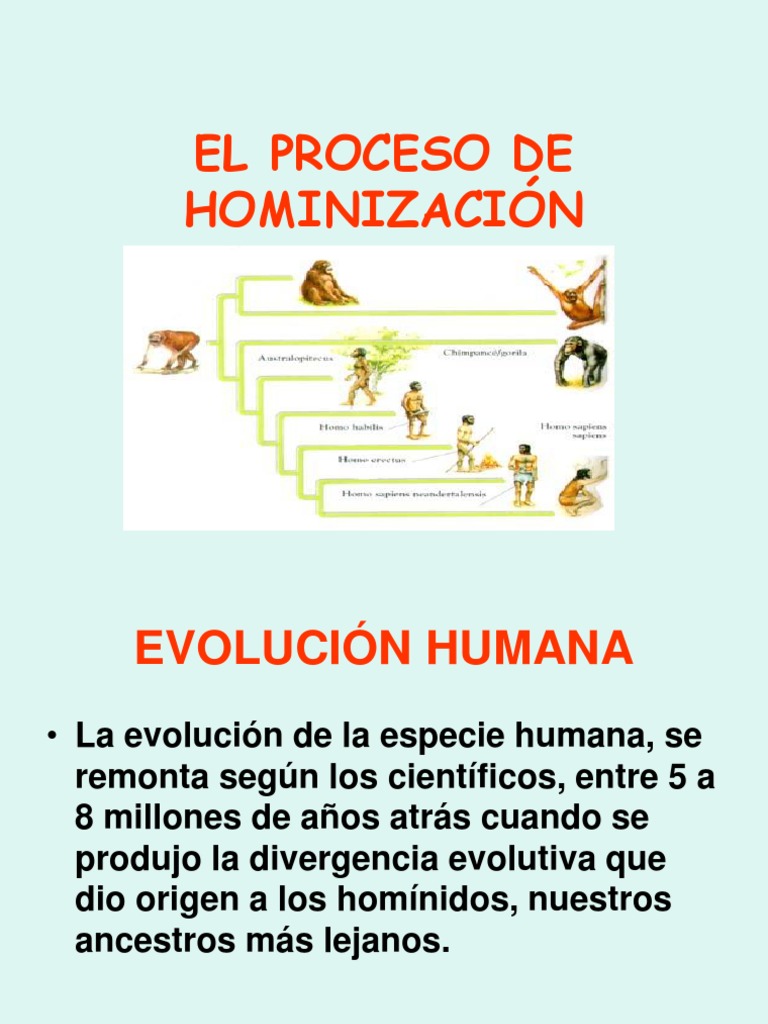 El Proceso de Hominizacion Claudia Retamal PDF Homo Evolución humana