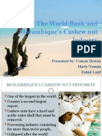 The World Bank and Mozambique's Cashew Nut Industry: Presented By: Usman Dewan