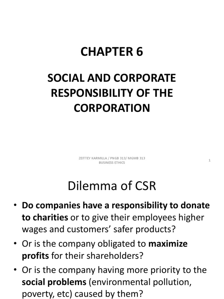 Corporate Social Responsibility (CSR) | Download Free PDF | Corporate ...