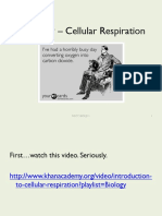 Lecture 9 - Cellular Respiration: 1 NSCC Biol211