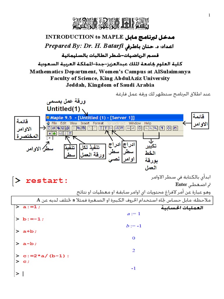 Introduction to Maple Programming | PDF