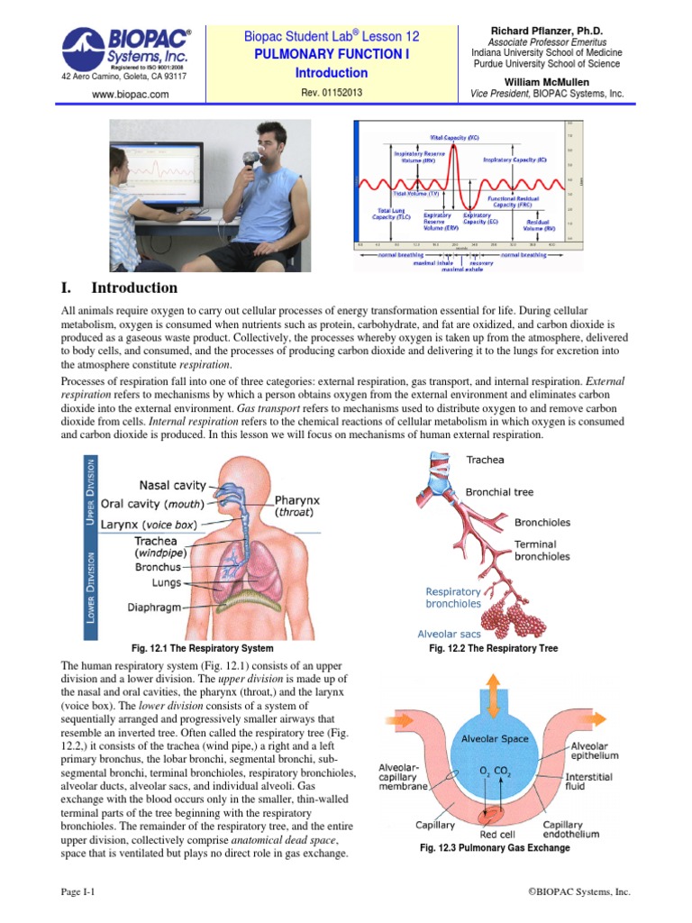 Pulmonary Function I Biopac Student Lab Lesson 12 Download Free PDF