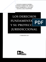 Los Derechos Fundamentales y Su Protección Jurisdiccional PDF