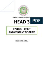 Head 3: Eyelids - Orbit and Content of Orbit