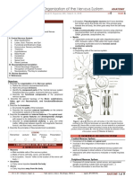 (ANA) 5.06 Organization of The Nervous System