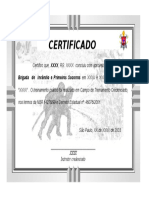 file-177091-Certificado-Brigadistas-20160703-183309.doc