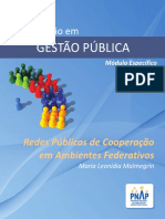 Pnap-1 - Gestão de Redes Públicas de Cooperação em Ambientes Federativos