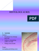 Histologi telinga