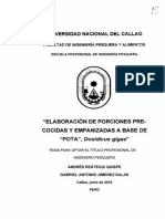 Andres_Tesis_tituloprofesional_2016 (1).pdf