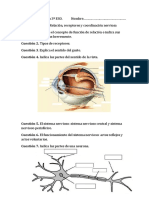 Examen de Biología 3º ESO