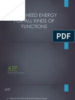 block 2 - atp  c 