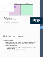 Block 2 - Meiosis U