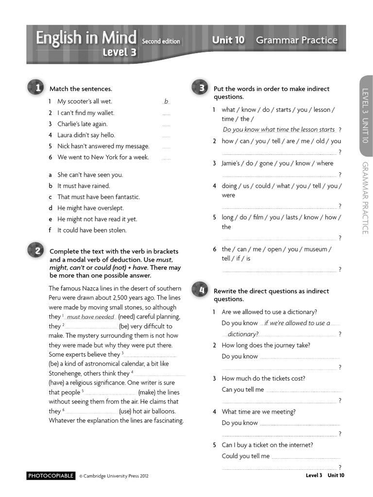 Level 3: Unit 10 Grammar Practice | PDF