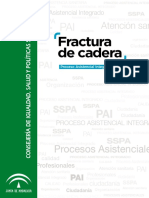 Fractura cadera PAI