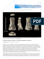 El Hueso Humano Apunta a Un Éxodo Temprano de África _ Ciencia _ AAAS
