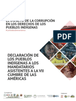 Declaracion Pueblos Indígenas 