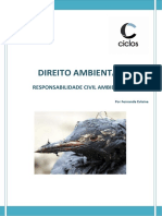 4. Responsabilidade Civil Ambiental.docx