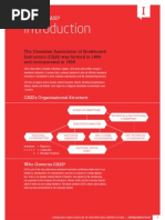 Download Casi Level 1 by Dexter Shin SN37615300 doc pdf