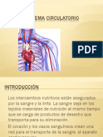 Sistema Circulatorio