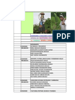 Comisiones para Las Festividades Patronales 2017